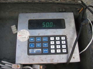 A scale attached to a Billet Ezyloader is used to track honey production for evaluating queens.